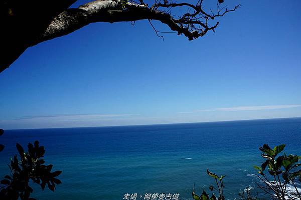 DSC02605.jpg DSC02605.jpg