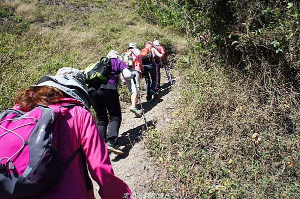 DSC02657.jpg DSC02657.jpg