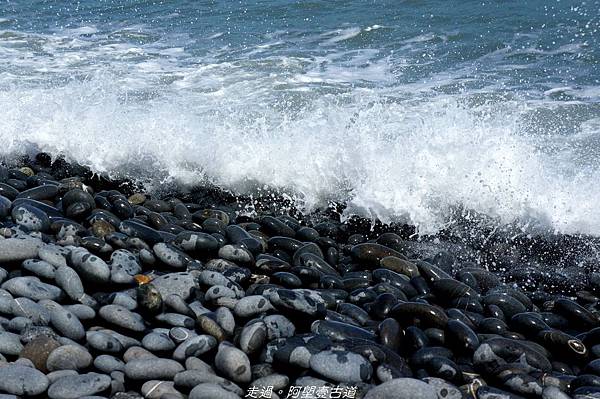 DSC02751.jpg DSC02751.jpg