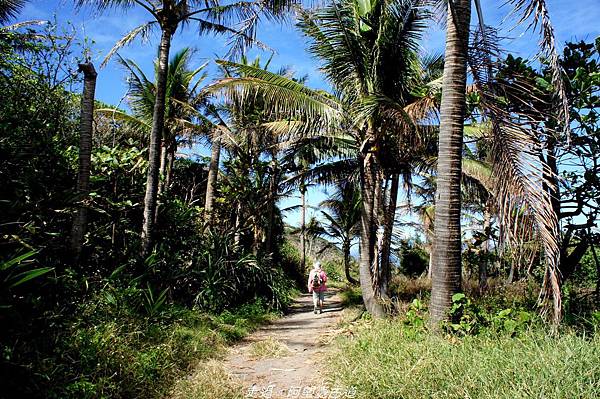 DSC02772.jpg DSC02772.jpg