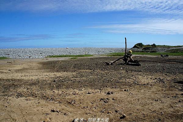 DSC02786.jpg DSC02786.jpg