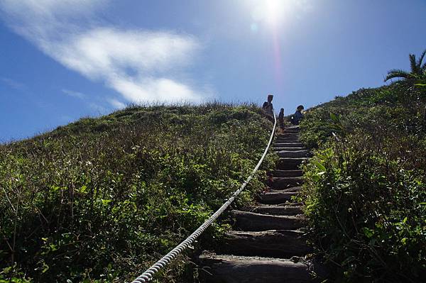 DSC06516.JPG DSC06516.JPG