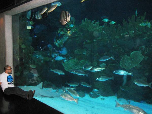 IMG_8855.JPG IMG_8855.JPG