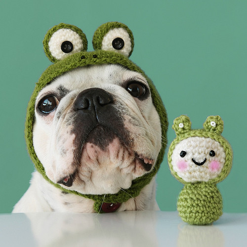 cute,dog,green,toy-a7d749981f807fdd74a758b3f99300f9_h.jpg cute,dog,green,toy-a7d749981f807fdd74a758b3f99300f9_h.jpg