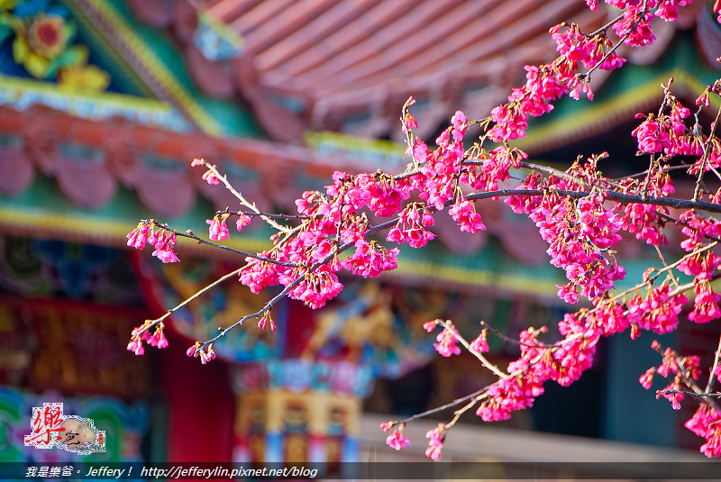 20130214-DSC_0070 20130214-DSC_0070