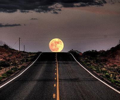 548679_367268896686924_771332275_n