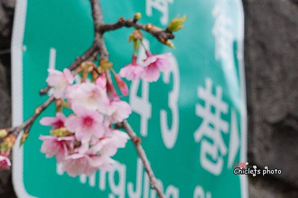 DSC00004 DSC00004
