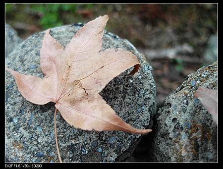 nEO_IMG_SAM_5945.jpg nEO_IMG_SAM_5945.jpg