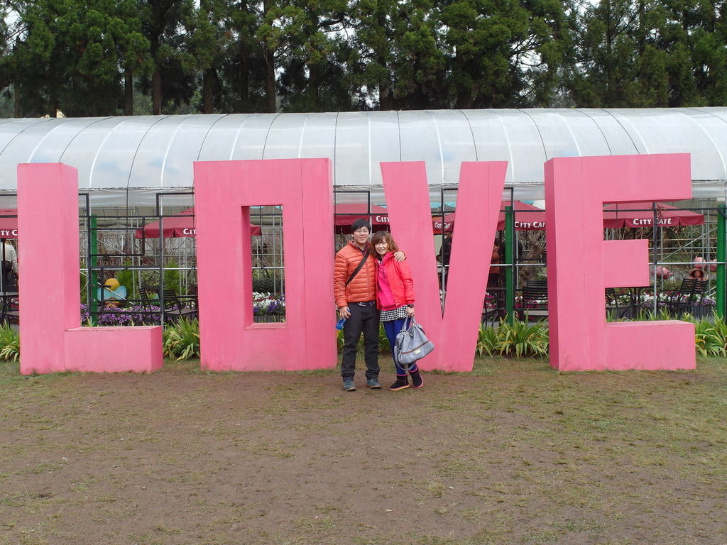 SAM_6184.JPG SAM_6184.JPG