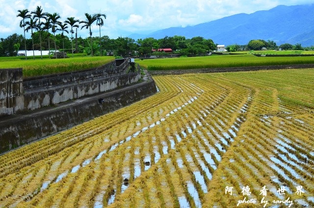 大坡池 054