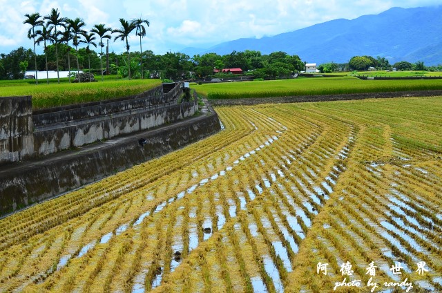 大坡池 054