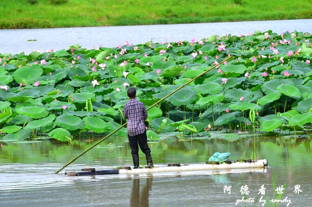 大坡池 165