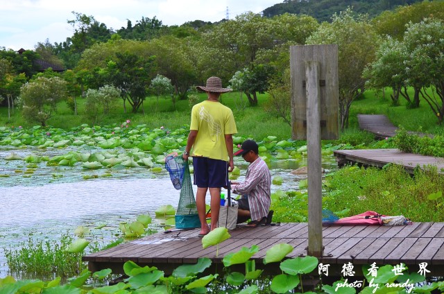 大坡池 217