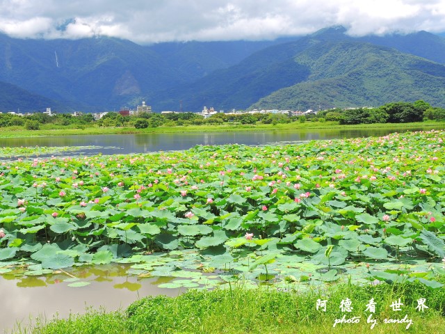 伯朗大道大坡池 074