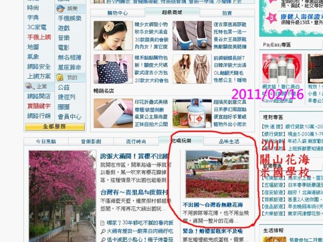 關山花海3 關山花海3