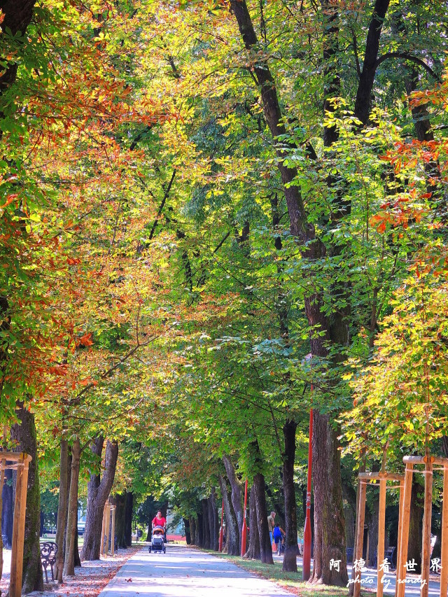 slavonski brodP77 071.JPG slavonski brodP77 071.JPG