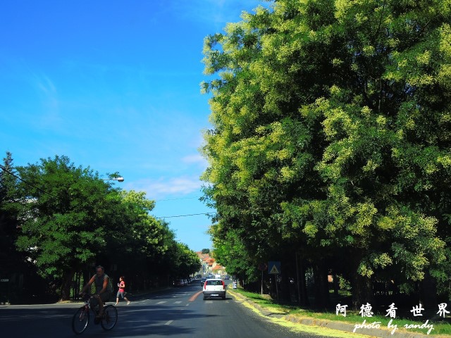 ptujP77 005.JPG