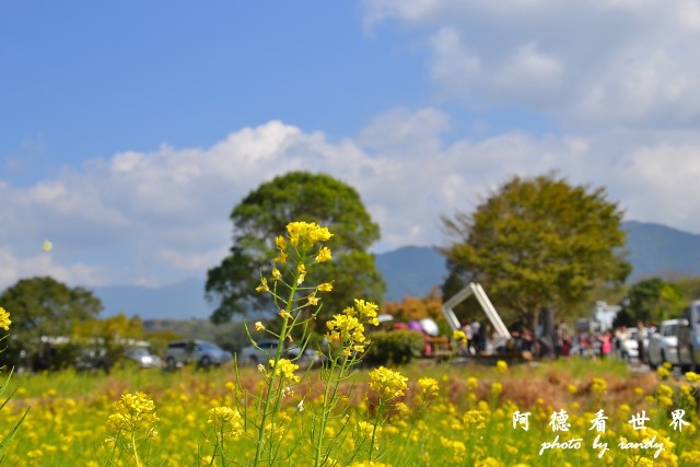 大坡池D3 004.JPG 大坡池D3 004.JPG