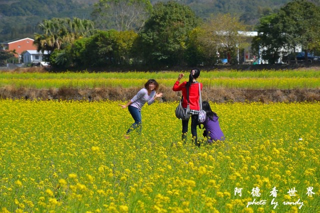 大坡池D3 015.JPG 大坡池D3 015.JPG