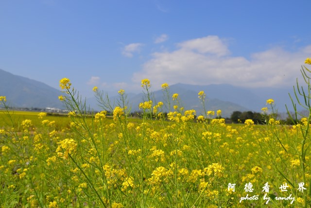 大坡池D3 007.JPG 大坡池D3 007.JPG