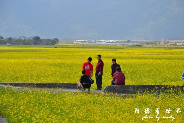 大坡池D3 022.JPG 大坡池D3 022.JPG