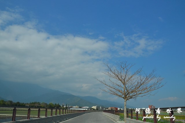 大坡池D3 047.JPG 大坡池D3 047.JPG