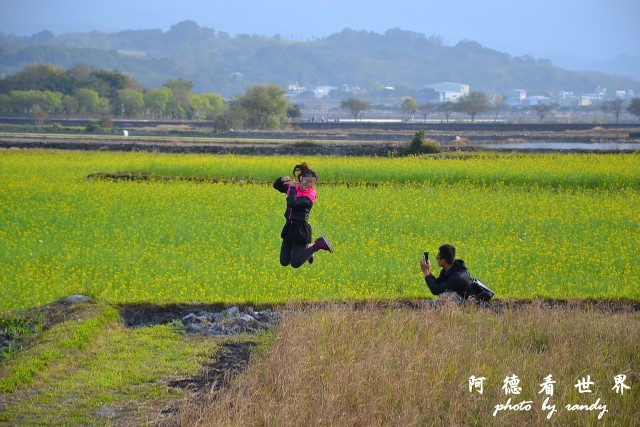 大坡池D3 130.JPG 大坡池D3 130.JPG