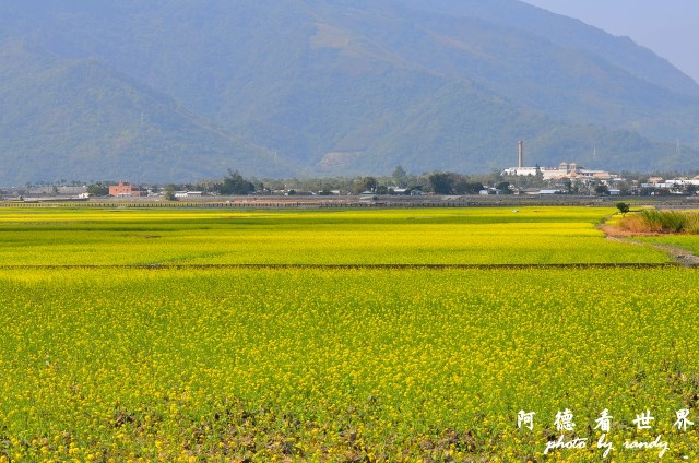 大坡池D7 001.JPG 大坡池D7 001.JPG