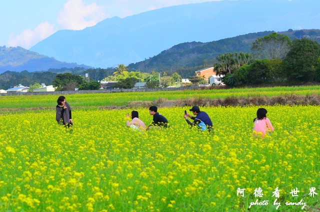 大坡池D7 022.JPG 大坡池D7 022.JPG