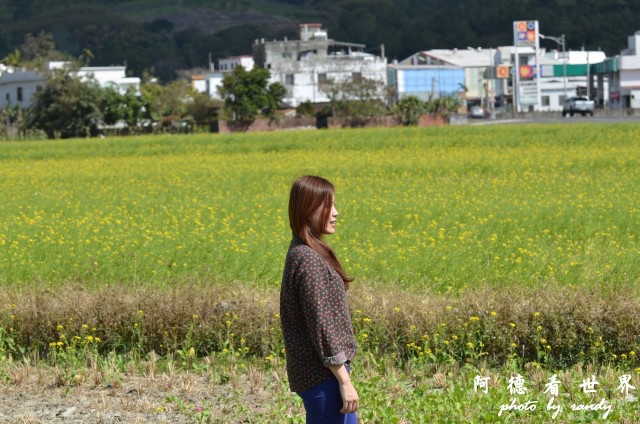 池上油菜花D7 026.JPG 池上油菜花D7 026.JPG