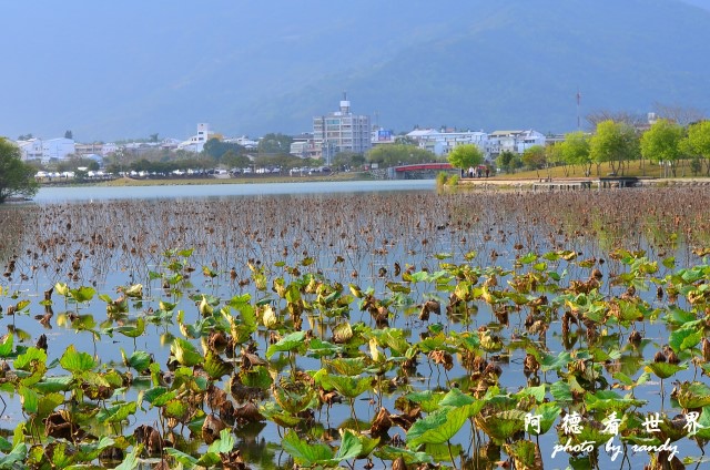 大坡池D7 196.JPG