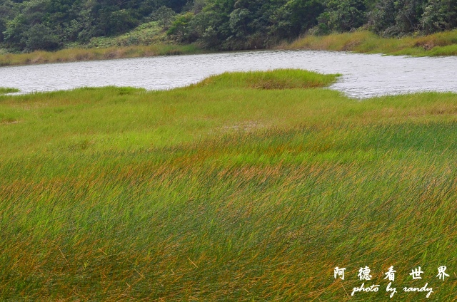 南仁湖D7 124.JPG