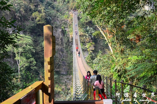 竹山梯子吊橋D7 059.JPG