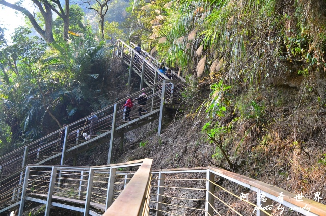 竹山梯子吊橋D7 062.JPG