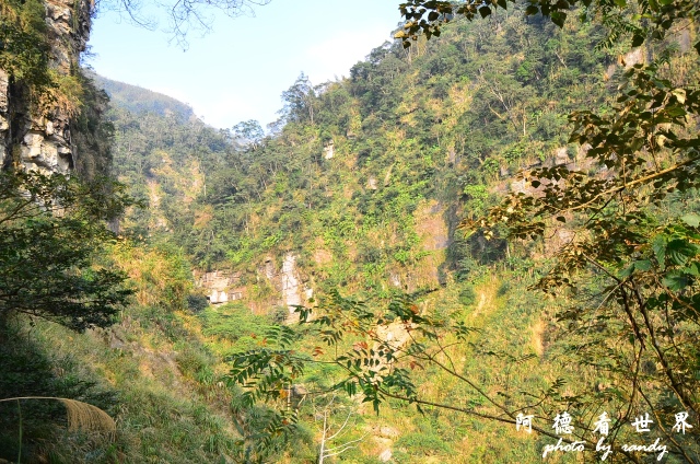 竹山梯子吊橋D7 065.JPG 竹山梯子吊橋D7 065.JPG