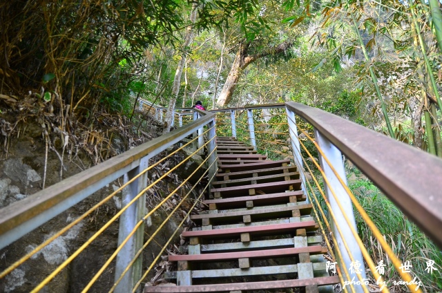 竹山梯子吊橋D7 066.JPG 竹山梯子吊橋D7 066.JPG