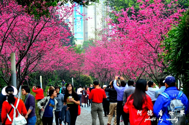 蔡明亮咖啡 066.JPG 蔡明亮咖啡 066.JPG