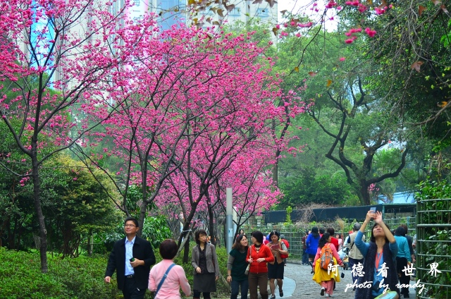 蔡明亮咖啡 073.JPG 蔡明亮咖啡 073.JPG