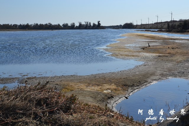 鰲鼓D3 018.JPG 鰲鼓D3 018.JPG