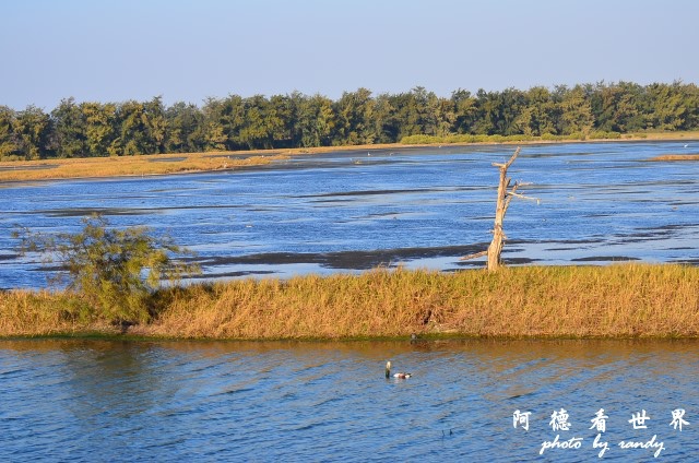 鰲鼓D7 180.JPG 鰲鼓D7 180.JPG