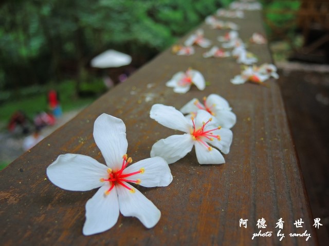 玉里-嘉義P77 147.JPG 玉里-嘉義P77 147.JPG