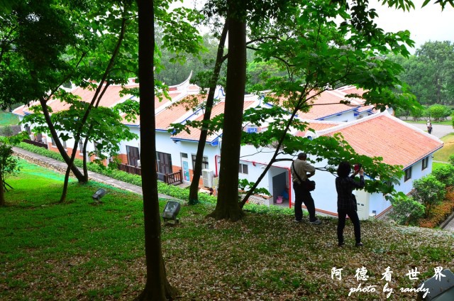 油桐花坊D7 009.JPG 油桐花坊D7 009.JPG
