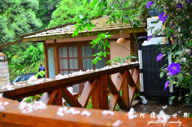 油桐花坊D7 035.JPG 油桐花坊D7 035.JPG