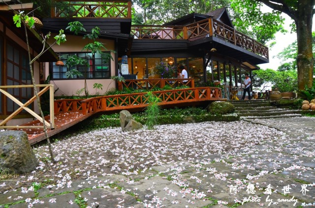 油桐花坊D7 052.JPG 油桐花坊D7 052.JPG