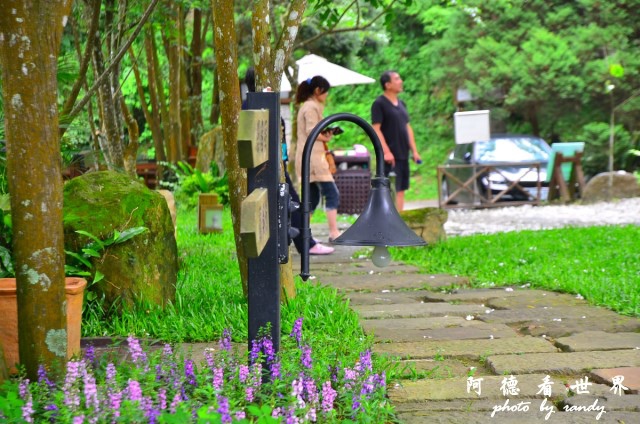 油桐花坊D7 046.JPG 油桐花坊D7 046.JPG