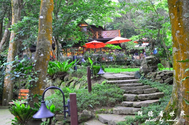 油桐花坊D7 097.JPG 油桐花坊D7 097.JPG