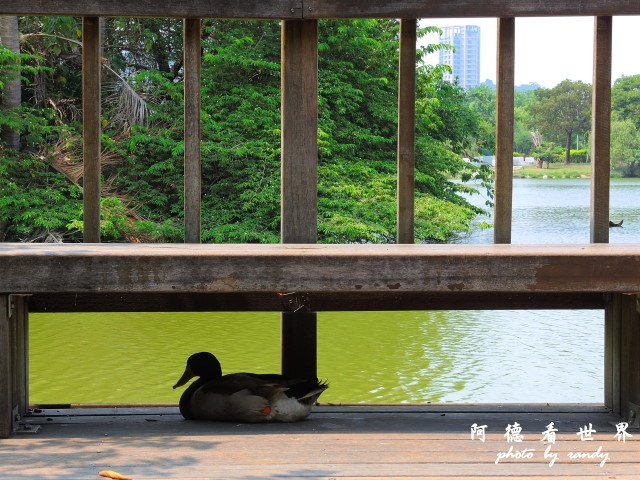 玉里-嘉義P77 064.JPG 玉里-嘉義P77 064.JPG