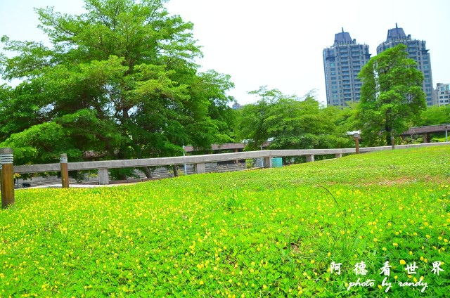 高雄美術館D7 025.JPG 高雄美術館D7 025.JPG