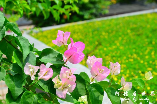 高雄美術館D7 023.JPG 高雄美術館D7 023.JPG