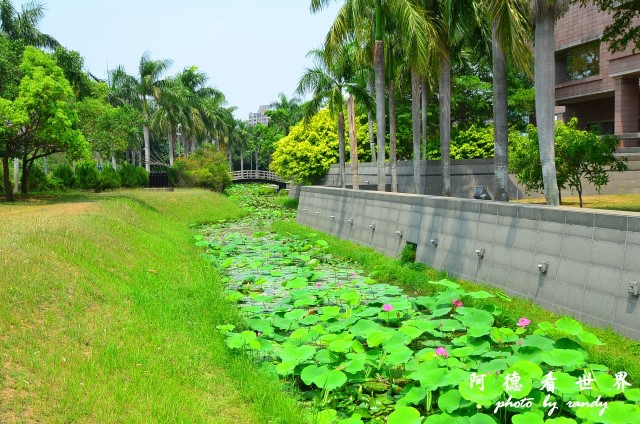 高雄美術館D7 052.JPG 高雄美術館D7 052.JPG